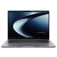 Asus ExpertBook P3 P3405CVA Ersatzteile