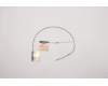 Lenovo 5A30Z88172 Antenne Antenne ACCY KITS Antenne MIMO