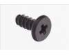 Acer 8F.00691.001 SCREW