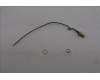 Lenovo 5A31F27721 ANTENNA Fru,148mm RF cable_LUX