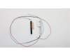 Lenovo 00NY625 ANTENNA WWAN KIT,HighTEK