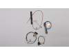 Lenovo 01AY957 ANTENNA Antenna,WLAN+WWAN,JT+JT
