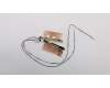 Lenovo 01HW955 ANTENNA FRU ANTENNA kit for Wlan/WWAN
