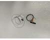 Lenovo 01HY971 ANTENNA ANT kit,WLAN,Narrow,ICT