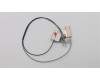 Lenovo 01LW169 ANTENNA FRU WLAN Antenna Kit