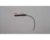 Lenovo 5A30S36087 ANTENNA ANTENNA H 83AL