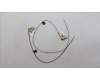 Lenovo 5A30S36092 ANTENNA Antenna L 82Y5 MAIN+AUX