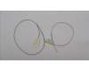 Lenovo 5A30Z88223 ANTENNA Antenna WL Main&Aux HT 300WG4
