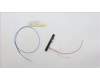 Lenovo 5A30Z88224 ANTENNA Antenna WW Main&Aux HT 300WG4