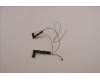 Lenovo 5A31C41982 ANTENNA Antenna WWAN&WLAN,Luxshare