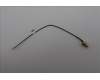 Lenovo 5A31F27784 ANTENNA 170mm SMA RF Cable_LUX