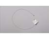 Lenovo 90203936 B550 WLAN Antenne (MAIN+AUX)