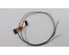Lenovo 00HT491 Antenne WLAN,ASM,Hightec