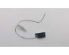 Lenovo 00XJ012 Antenne Fru, Lx 250mm Stamping Aux ANT