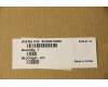 5CB0S18366 Lenovo COVER Lower case C 81N7_PINK
