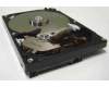 17G012C44100TW Asus SATA2 HDD 500G 7200RPM 3.5"