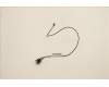 Lenovo CABLE Fru 475mm C2 SWITCH_TCO8.0 für Lenovo ThinkCentre M75t Gen 2 (11RE)