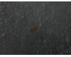 13GNRH10L360-1 Asus N80VM-1A TP BRACKET PC
