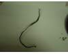 14G14B049100 Asus LMT VH242 KEY BOARD WIRE
