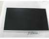 18G242150300 Asus LMT LCD TFT 21.5" FHD