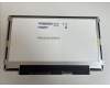 KL.11605.055 Acer Displaypanel 11.6 HD Glänzend AUO