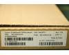 Lenovo 00XH717 DT_KYB USB TRDTNL KB BK RUS