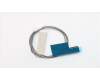 Lenovo 00XJ014 Antenne Fru, Lx 8L Think Front ANT_450mm
