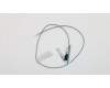 Lenovo 00XJ098 Antenne Fru, Lx 8L SMB and IDC Front ANT