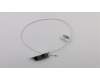 Lenovo 00XJ136 Antenne Fru, Gaming Y730 WLAN Antenne
