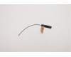 Lenovo 00XJ146 Antenne M820z Antenne