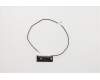 Lenovo 00XJ150 Antenne Lx 15L Black Front Antenne