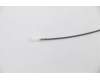 Lenovo 00XJ155 Antenne Fru, Fan-less Nano WLAN AUX ANT