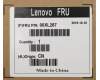 Lenovo CABLE Fru 200mm Rear USB2 LP cable für Lenovo ThinkCentre M710T (10M9/10MA/10NB/10QK/10R8)