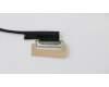 Lenovo 01AW438 Displaykabel cable