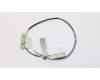 Lenovo 01EN231 Antenne WL Antenne,(L+R)