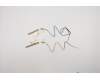 Lenovo 01ER100 Antenne Antenne WW/WLAN Kit,TH-2,Speed