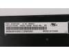 Lenovo 01HX351 NB_KYB Windu2 LTN NBL-KB DE