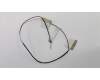 Lenovo 01LW415 Antenne Jinn FRU WLAN Antenne Kit