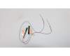 Lenovo 01LW779 Antenne WWAN Antenne Kit,Hightek