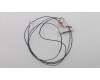 Lenovo 01YU206 Antenne WLAN Antenne,ICT