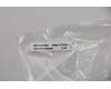 Lenovo 02DM400 Antenne FRU Antenne FA491 KITS WLAN ASSY