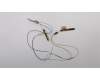 Lenovo 04X3893 FRU Antenne ASM AMPHENOL