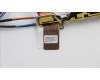 Lenovo 04X5372 Antenne WLAN+WWAN,asm