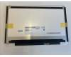 Asus 18010-11622000 LCD 11.6\' HD US GL EDP