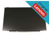 Original Lenovo IPS Display FHD matt 60Hz für Lenovo ThinkPad E495 (20NE)