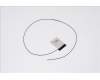 Acer 50.GY9N2.004 ANTENNA.MAIN