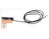 Acer 50.K65N2.001 Antenna.WLAN.MAIN