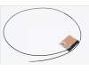 50.Q7KN2.009 Acer WLAN Hauptantenne