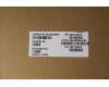Lenovo 5A30S36075 Antenne Antenne W 82R9 MAIN+AUX