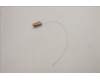 Lenovo 5A30S36076 Antenne Antenne W 82RA MAIN+AUX